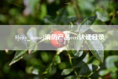 固安消防产品cccf认证目录