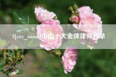 固安中国十大金牌律师名单