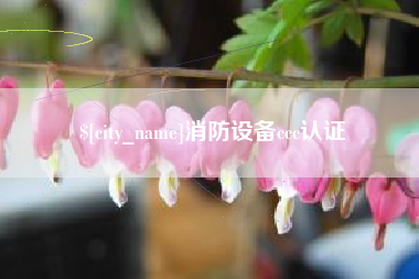 固安消防设备ccc认证