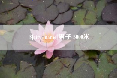 固安男子 5000米