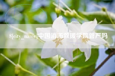 固安中国消防救援学院管严吗