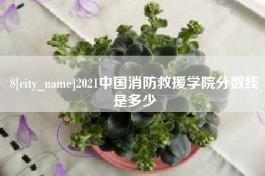 固安2021中国消防救援学院分数线是多少