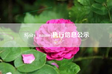固安执行信息公示