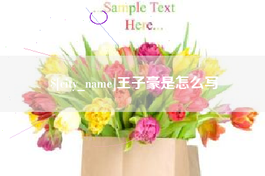 固安王子豪是怎么写