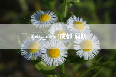 固安成都 消防