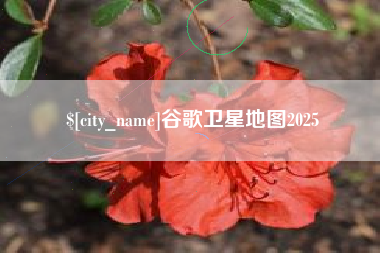 固安谷歌卫星地图2025