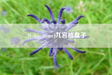 固安九宫格盘子