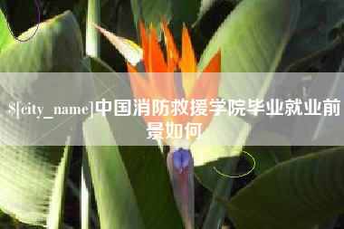 固安中国消防救援学院毕业就业前景如何