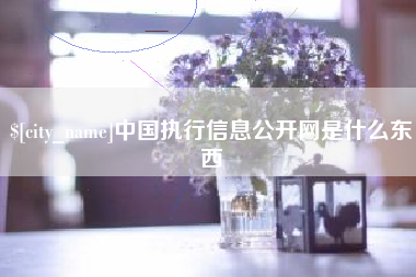 固安中国执行信息公开网是什么东西
