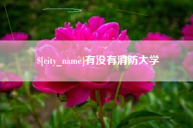 固安有没有消防大学
