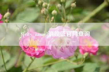 固安消控证官网查询