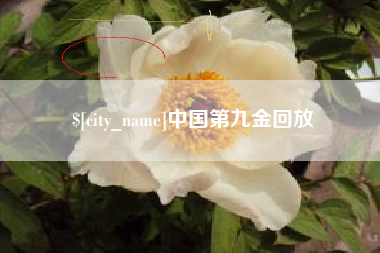 固安中国第九金回放