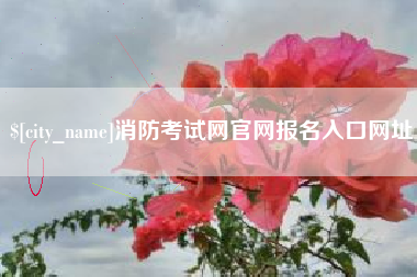 固安消防考试网官网报名入口网址