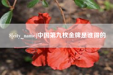 固安中国第九枚金牌是谁得的