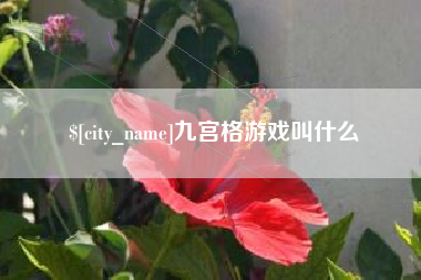 固安九宫格游戏叫什么