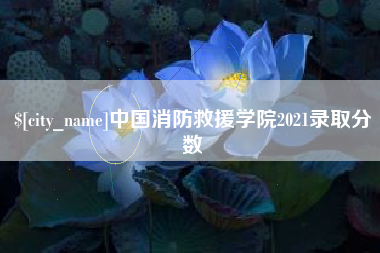 固安中国消防救援学院2021录取分数