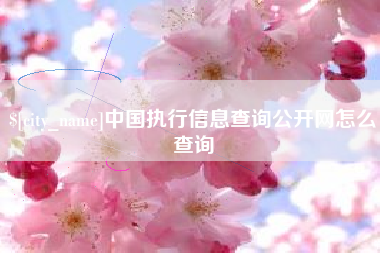 固安中国执行信息查询公开网怎么查询