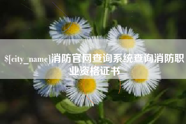 固安消防官网查询系统查询消防职业资格证书