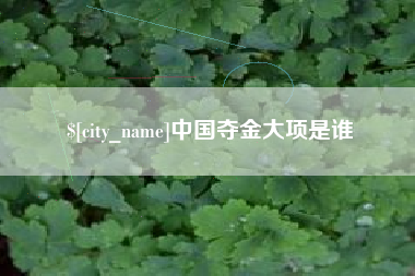 固安中国夺金大项是谁