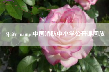 固安中国消防中小学公开课回放