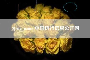 固安中国执行信息公开网