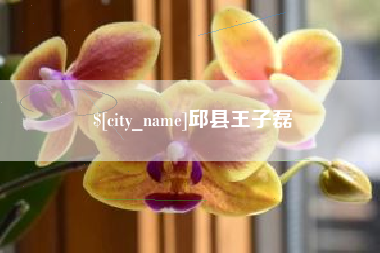 固安邱县王子磊