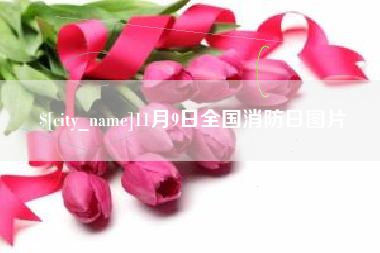 固安11月9日全国消防日图片