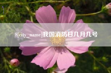 固安我国消防日几月几号