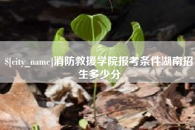 固安消防救援学院报考条件湖南招生多少分