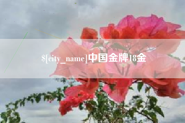 固安中国金牌18金
