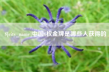 固安中国6枚金牌是哪些人获得的