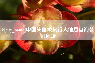 固安中国失信被执行人信息查询公开网址