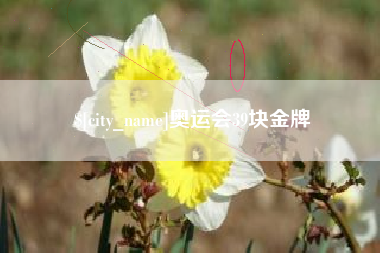 固安奥运会39块金牌