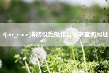 固安消防设施操作员证书查询网址