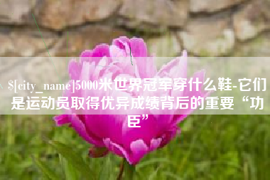 固安5000米世界冠军穿什么鞋-它们是运动员取得优异成绩背后的重要“功臣”