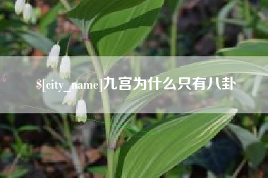 固安九宫为什么只有八卦