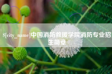 固安中国消防救援学院消防专业招生简章