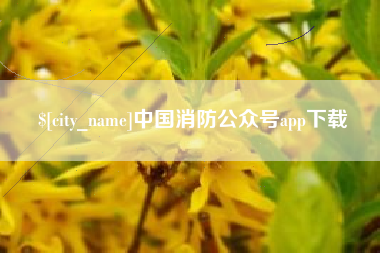 固安中国消防公众号app下载
