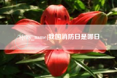 固安我国消防日是哪日