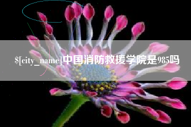 固安中国消防救援学院是985吗