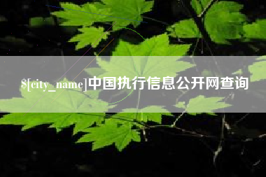 固安中国执行信息公开网查询