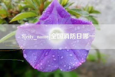 固安全国消防日哪一