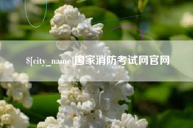 固安国家消防考试网官网