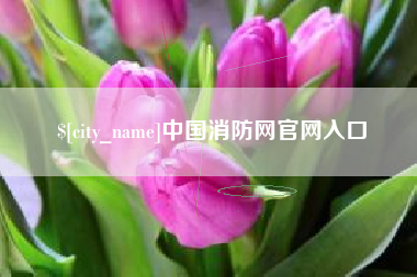 固安中国消防网官网入口