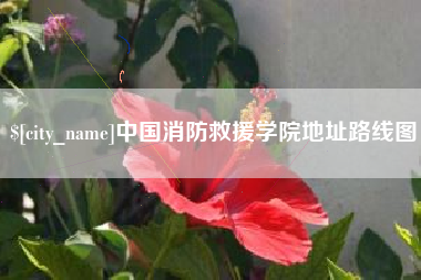 固安中国消防救援学院地址路线图