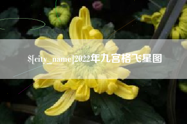固安2022年九宫格飞星图