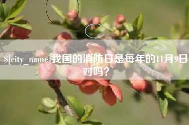固安我国的消防日是每年的11月9日对吗？