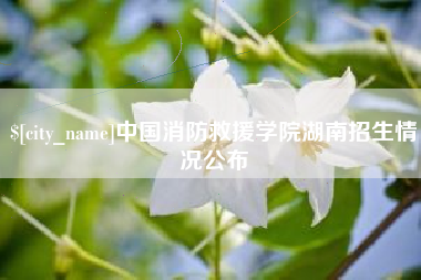 固安中国消防救援学院湖南招生情况公布