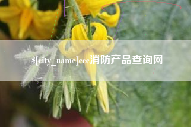 固安ccc消防产品查询网