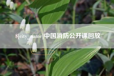 固安中国消防公开课回放